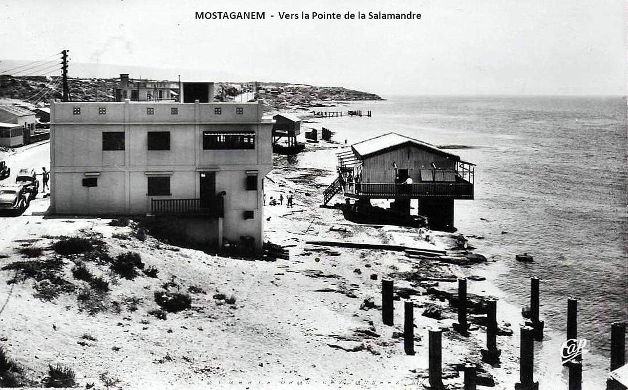 Mostaganem - Vue vers la Pointe de la Salamandre.jpg